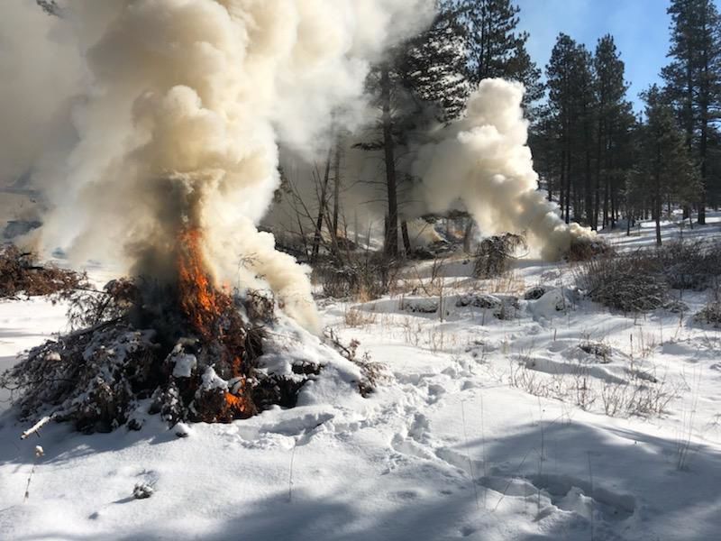 Slash piles burning